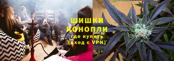 сатива Абаза
