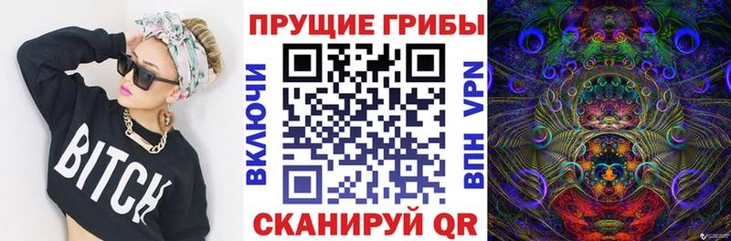Псилоцибиновые грибы прущие грибы Димитровград
